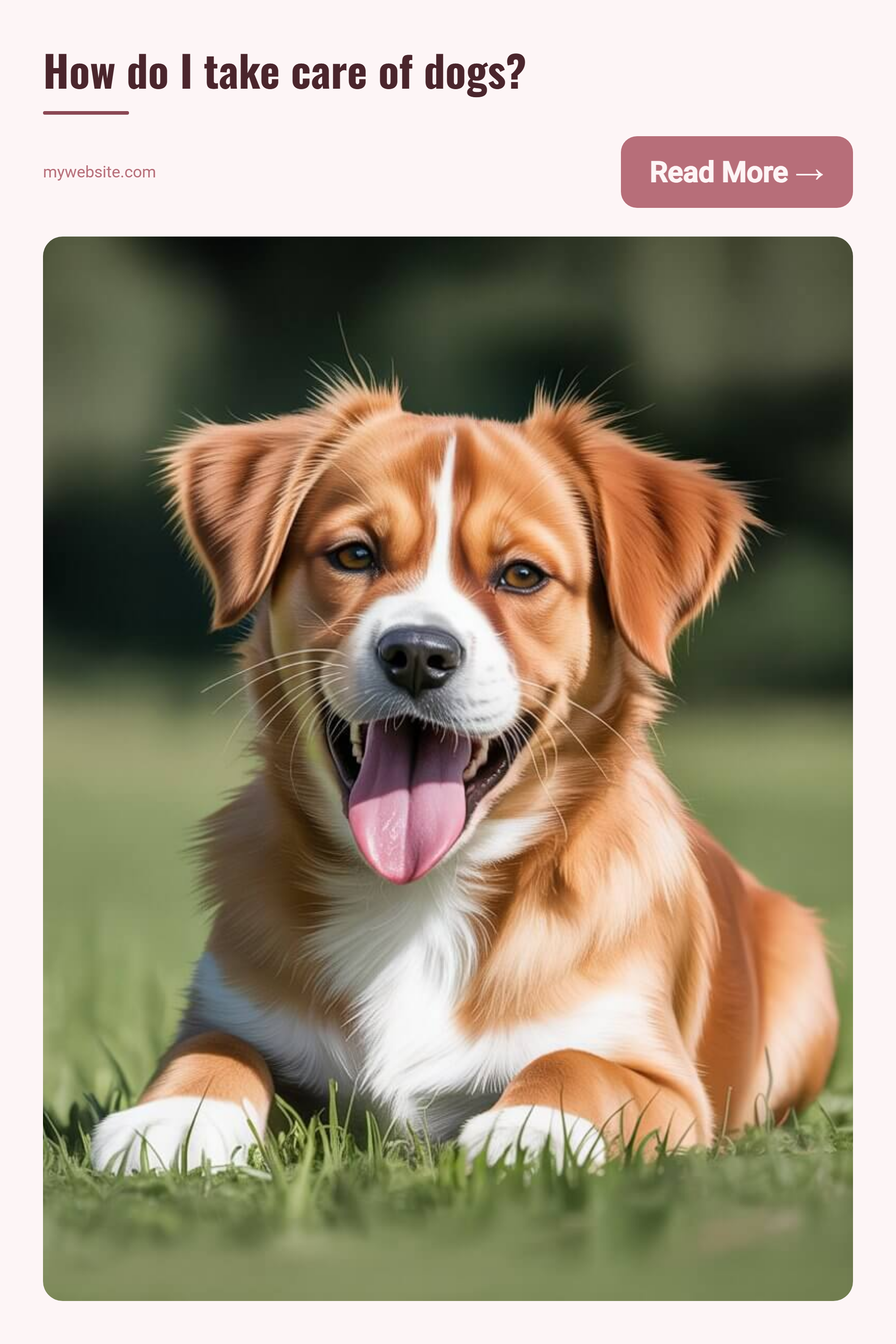 Pinterest Pins generator - Screenshot 3 showing product features and functionality