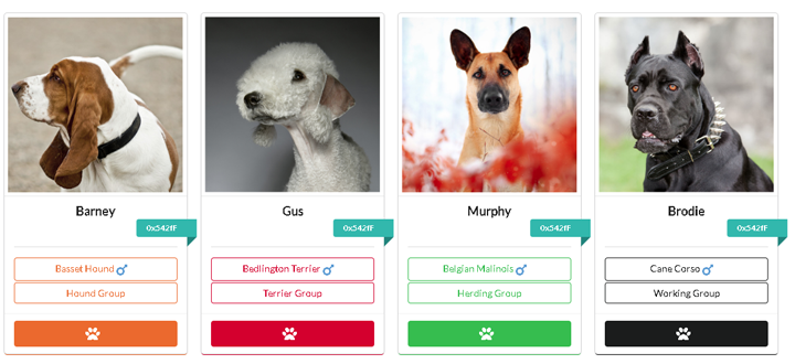 CryptoDogz gallery image