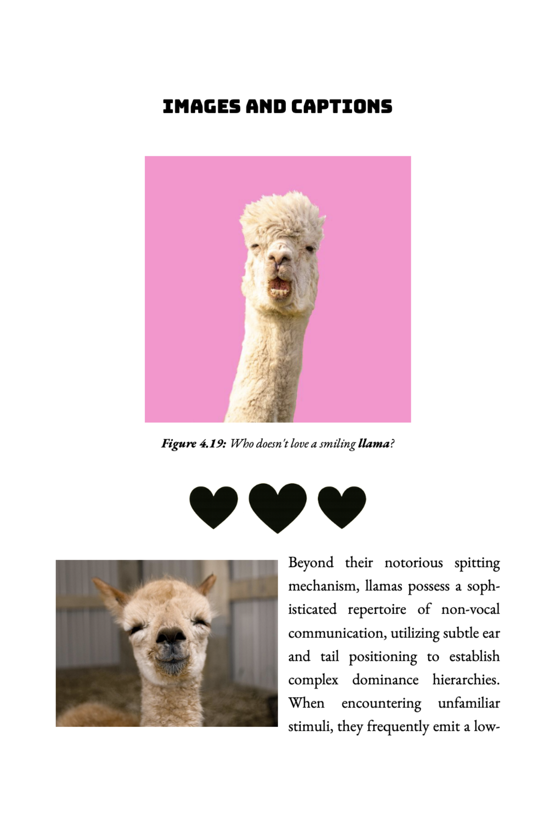 Lacuna Book Formatter gallery image