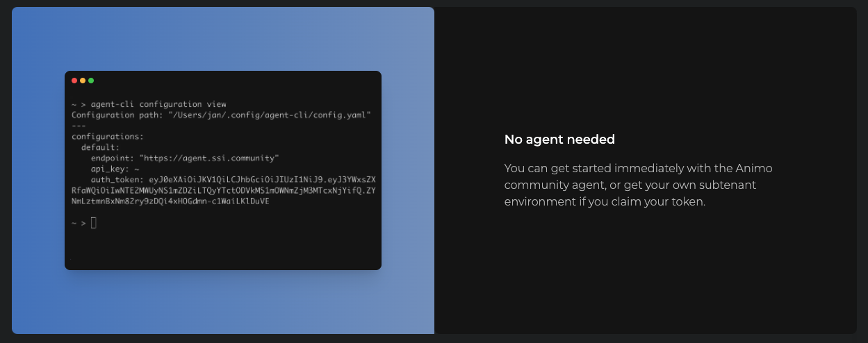 Agent CLI gallery image