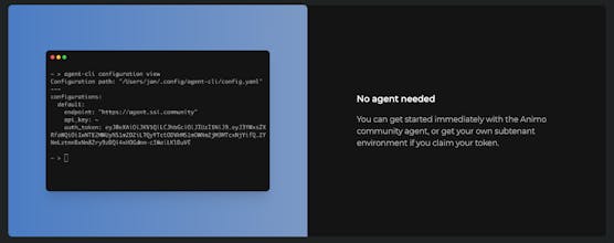 Agent CLI gallery image