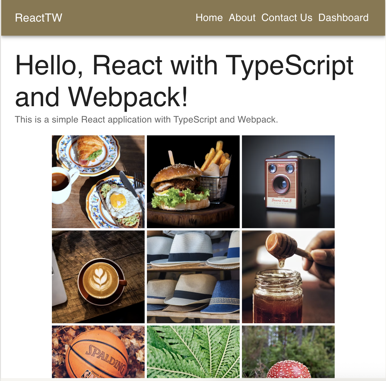 สร้าง-react-app - KickStart React Apps ด้วย TypeScript Webpack ในไม่กี่วินาที media 2
