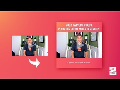 Zubtitle — screenshot 1 showing tool features and UI
