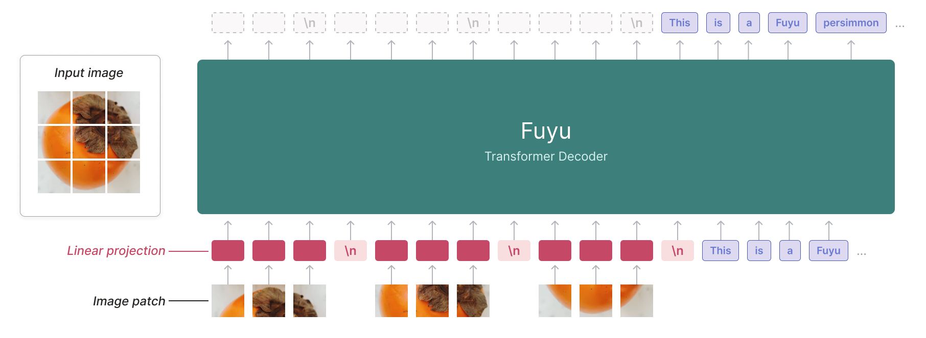 startuptile Fuyu-8B-A Multimodal architecture for AI agents