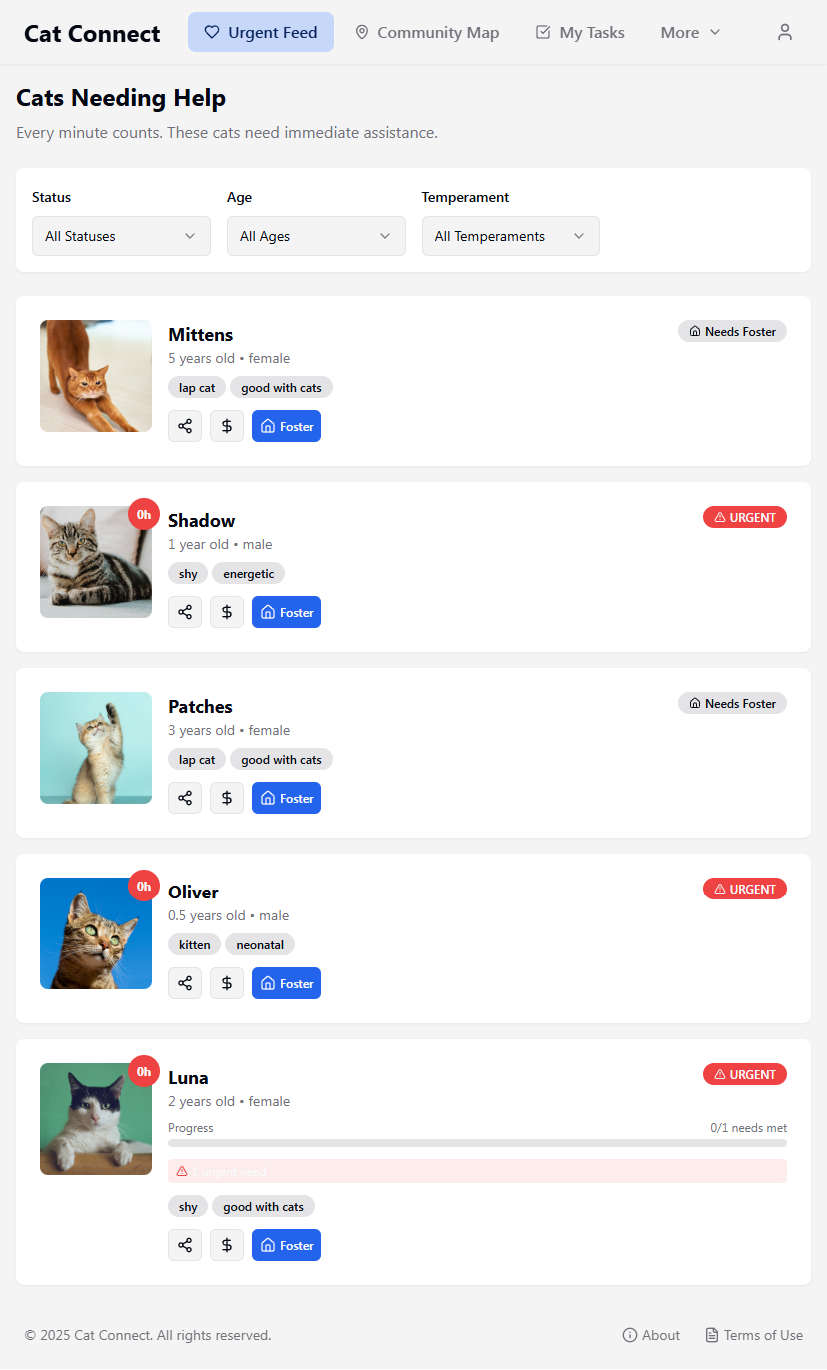 Cat Connect gallery image