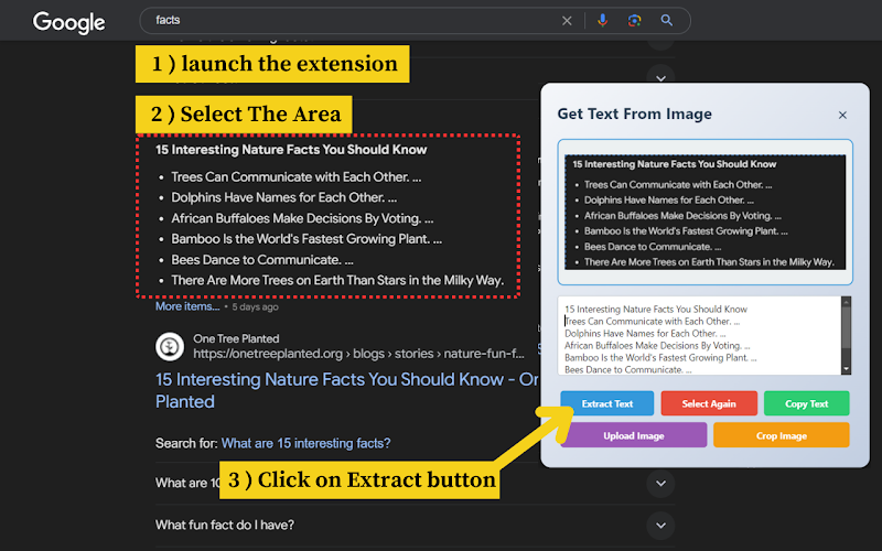 ImageXtract media 3