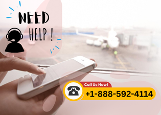 Airlines Xpress - Main product screenshot demonstrating key features and user interface