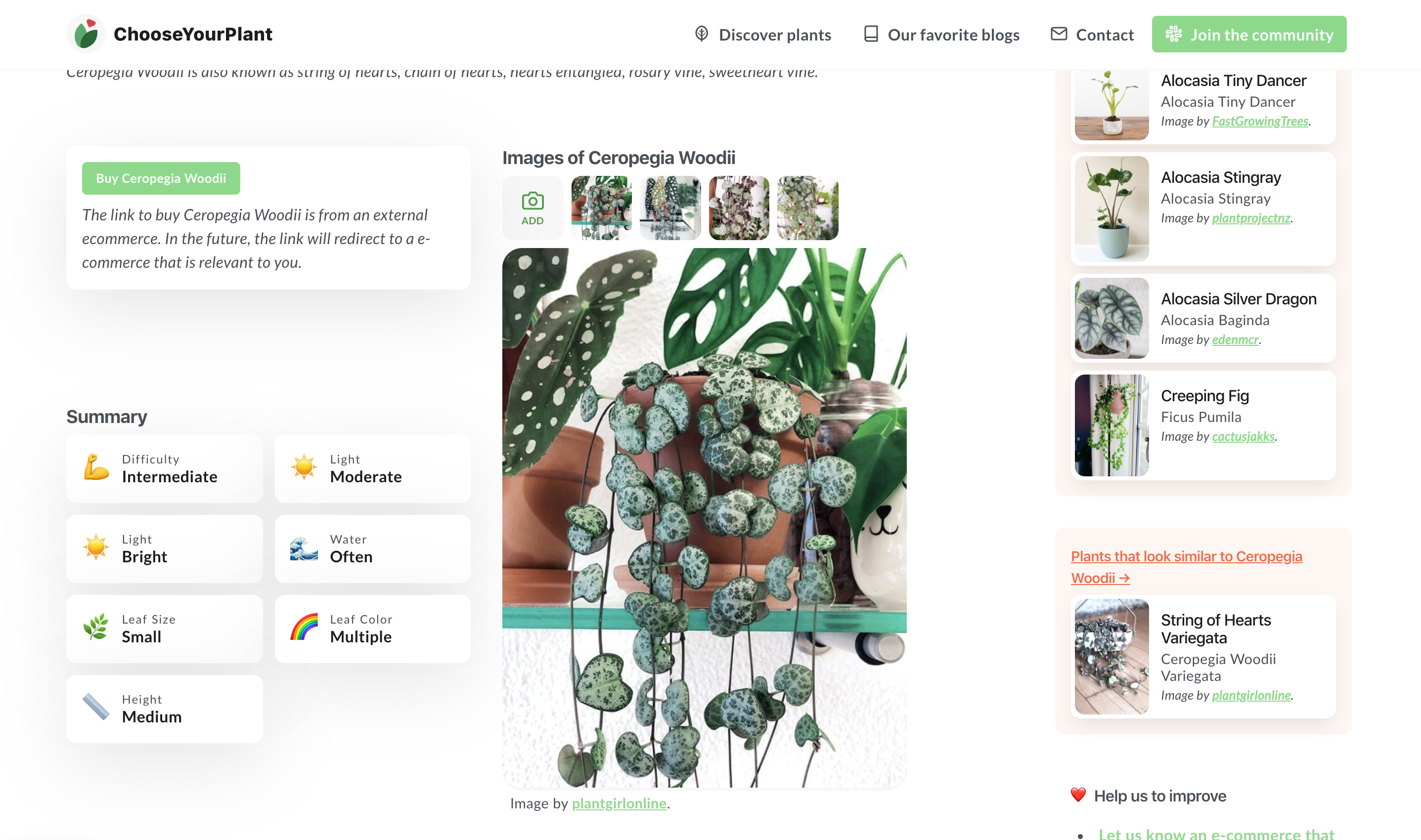 ChooseYourPlant gallery image