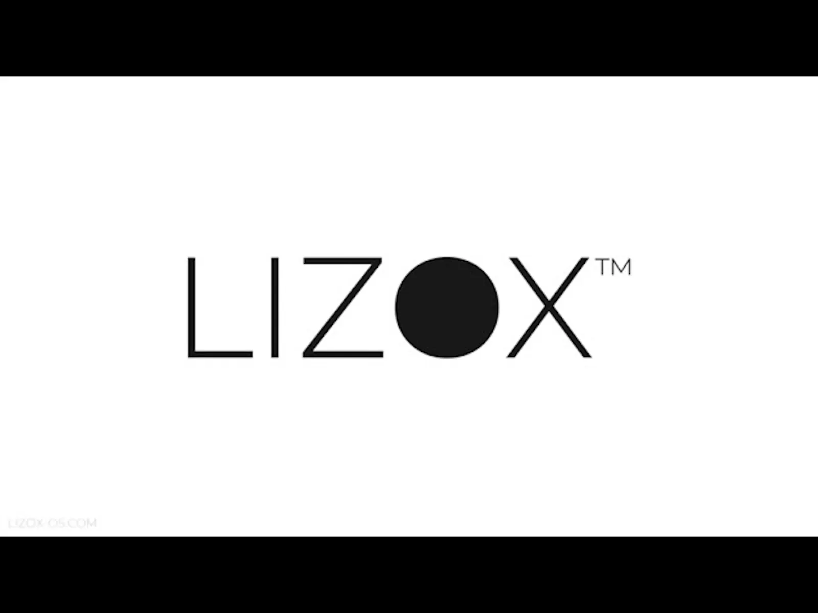LIZOX OS screenshot 1 (video preview)