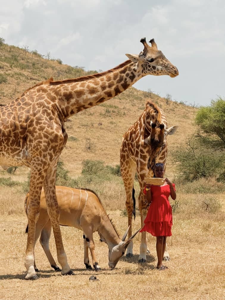 Africantrust Safari gallery image