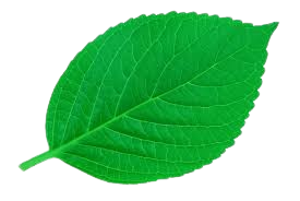 FarmInteli -Smart Farming Assistant 