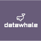 Datawhale