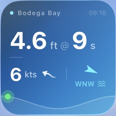 Buoy Bro  gallery image