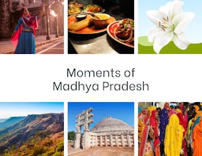 MP GK Questions Collections gallery image