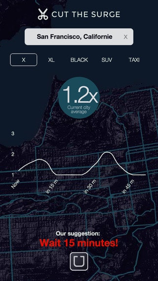 Cut The Surge gallery image