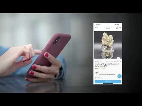 Cannooh gallery image