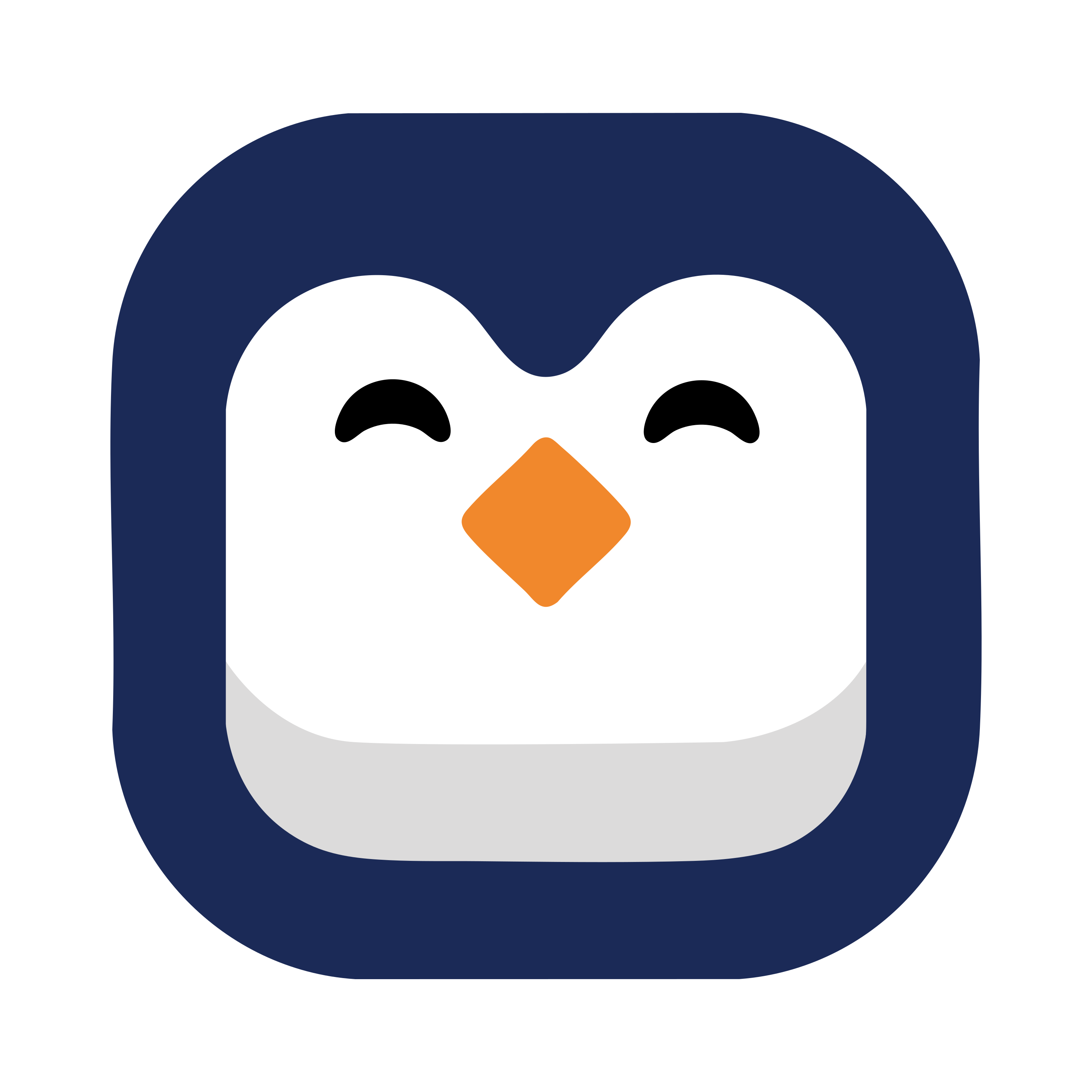 Pyngyn - Product Hunt launch logo and brand identity