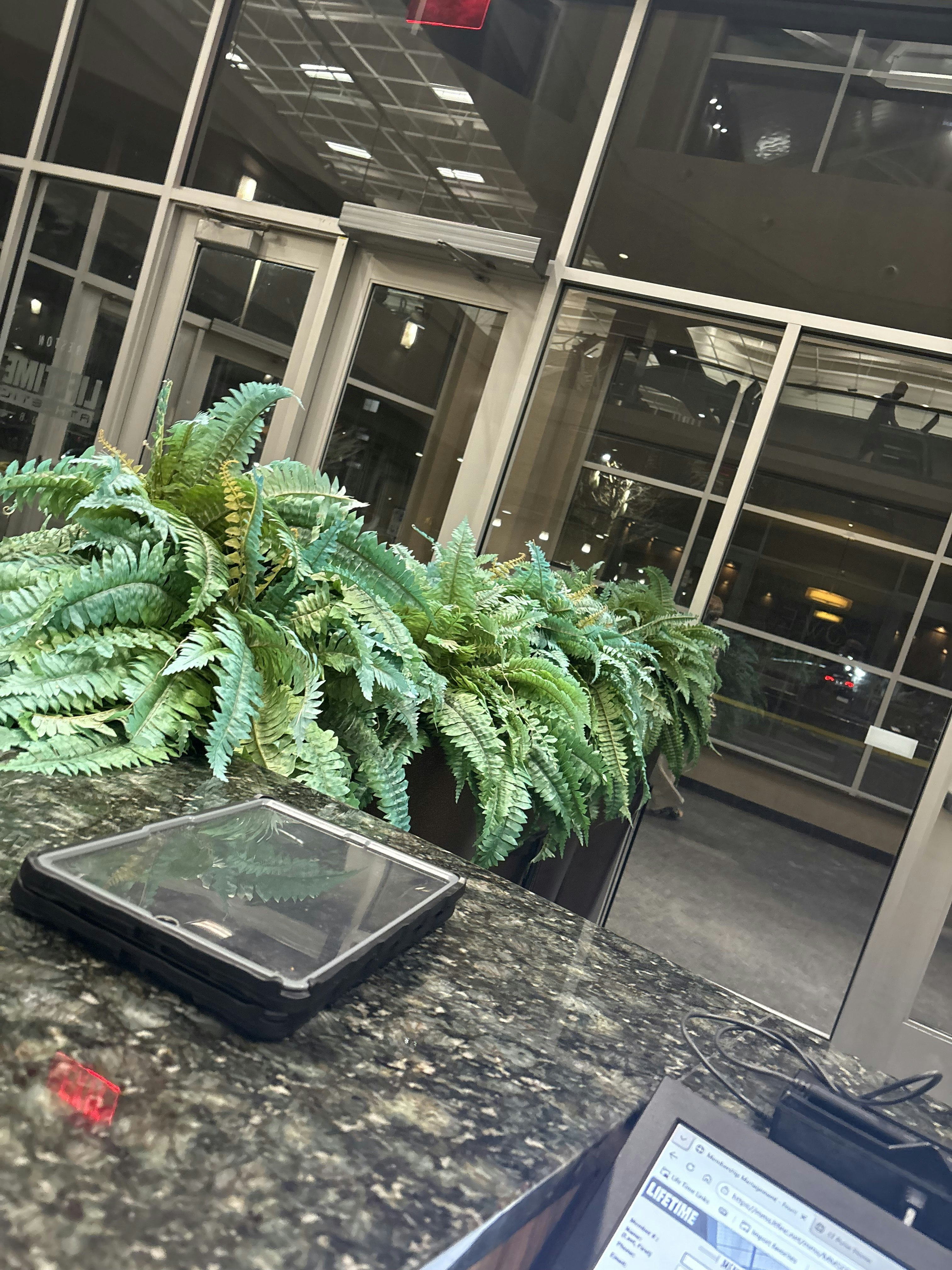 AutoScout AI gallery image