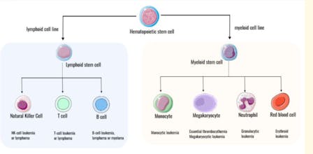 BioSketch gallery image