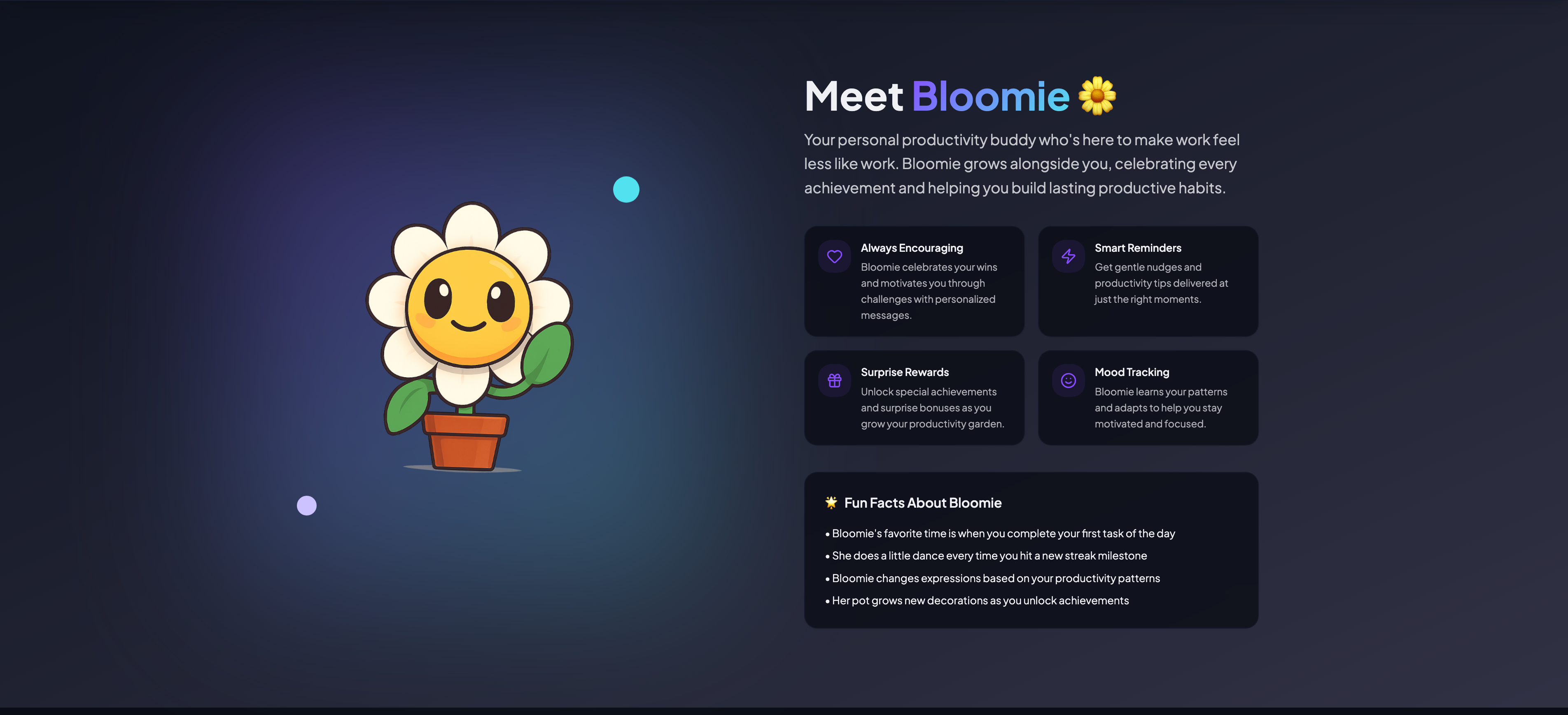 Bloomify gallery image