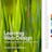 Learning Web Design