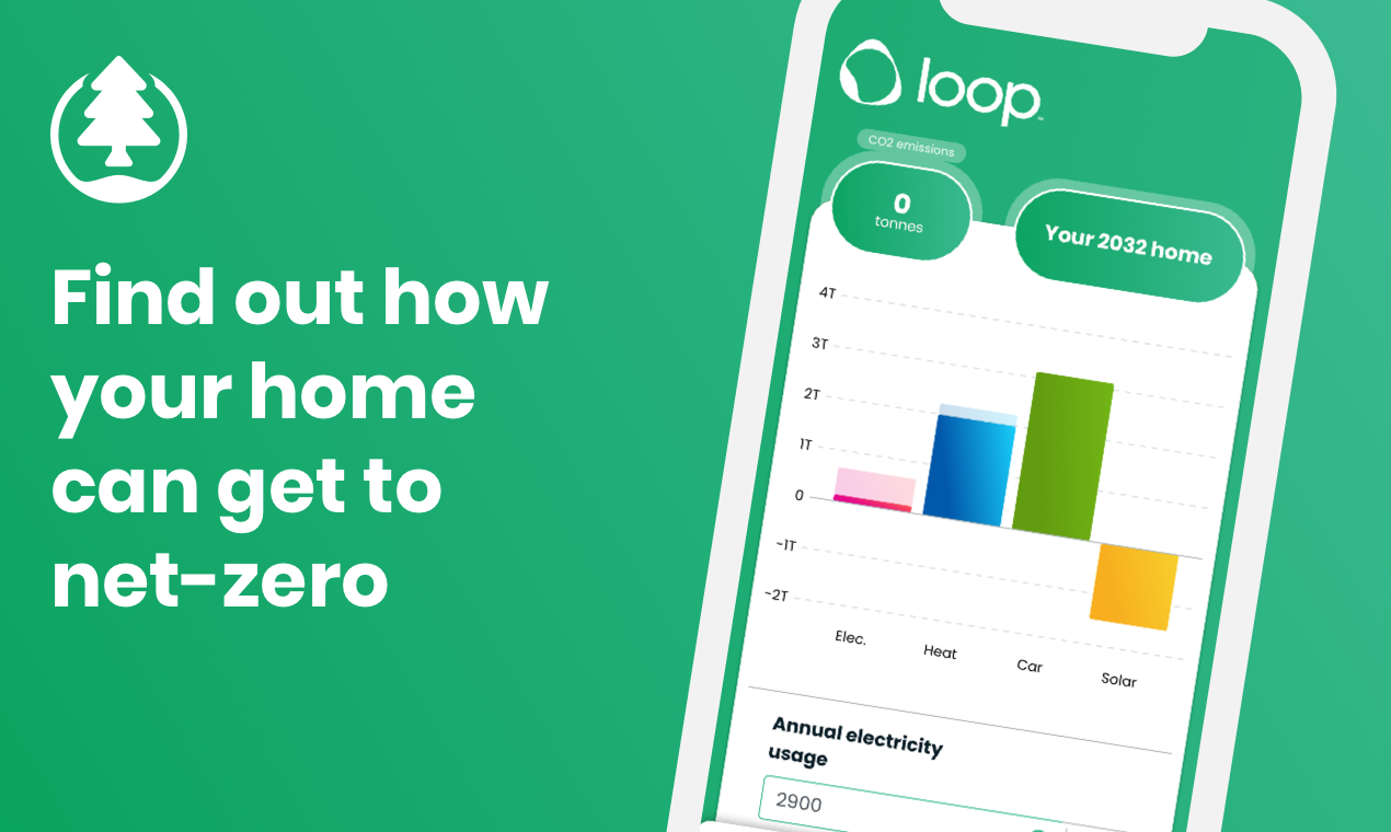 Loop Smart Meter App gallery image