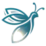 DataFirefly Server Side Tracking