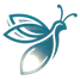 DataFirefly Server Side Tracking