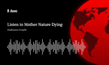Mother Nature Dying gallery image