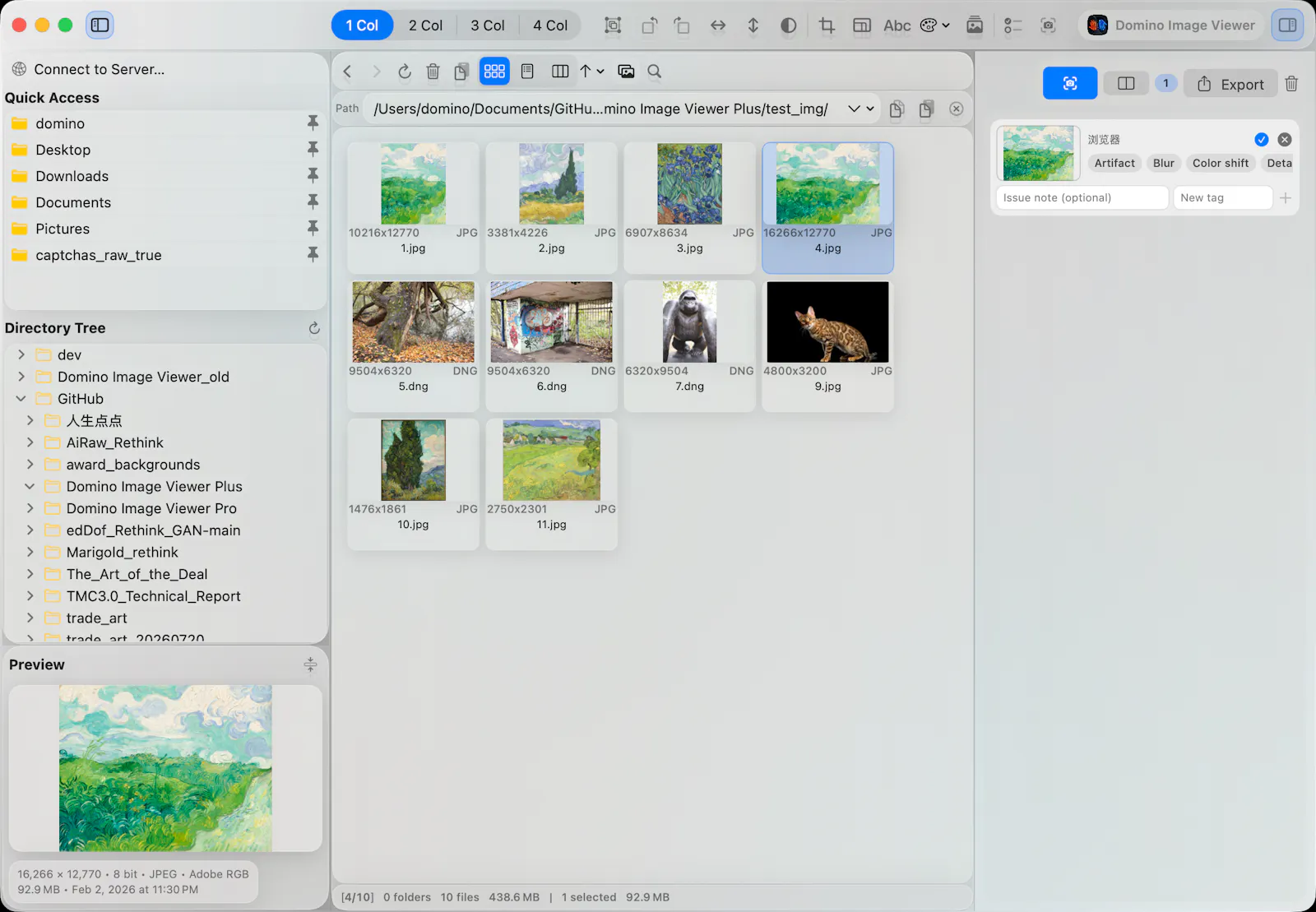 Domino Image Viewer screenshot 2