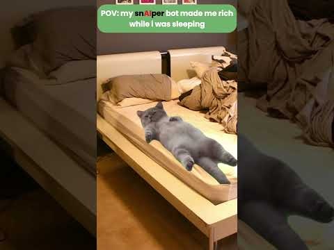 snAIper Agent gallery image