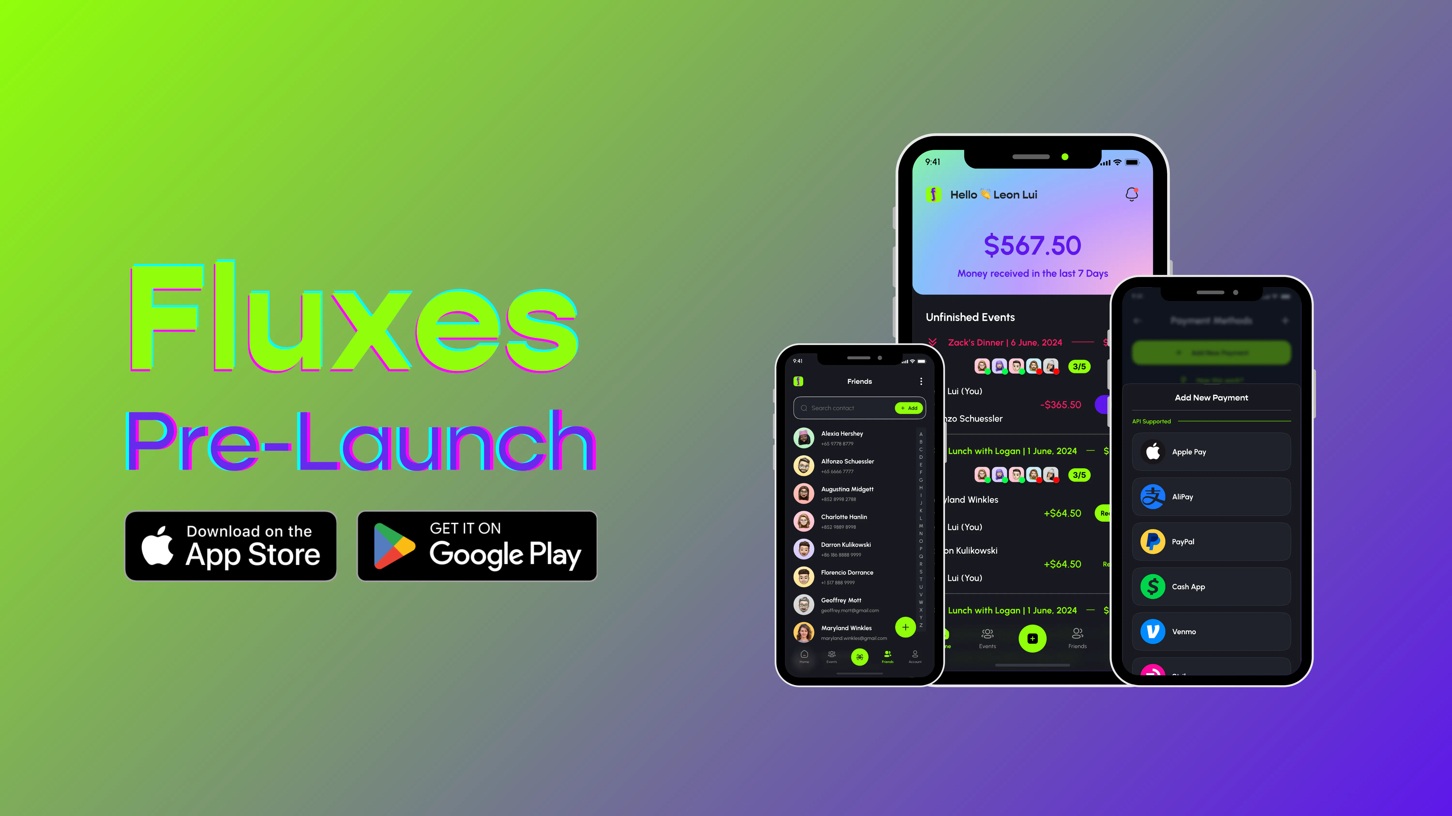 Fluxes gallery image