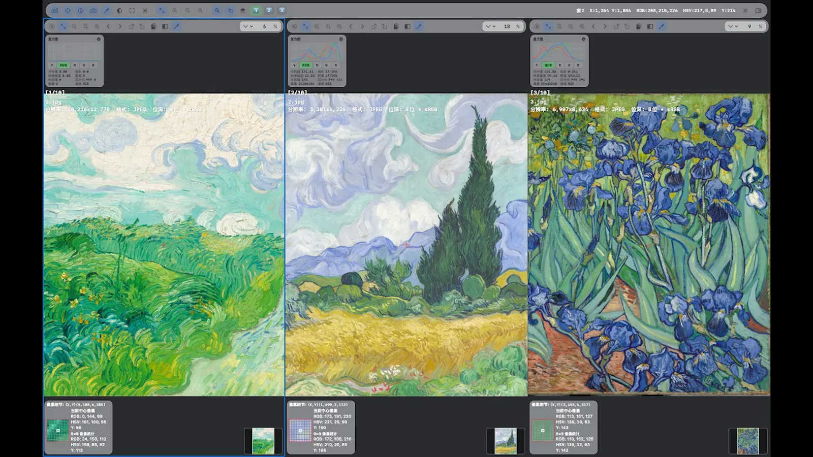 Domino Image Viewer screenshot 1 (video preview)