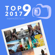 Top Nine 2017 gallery image