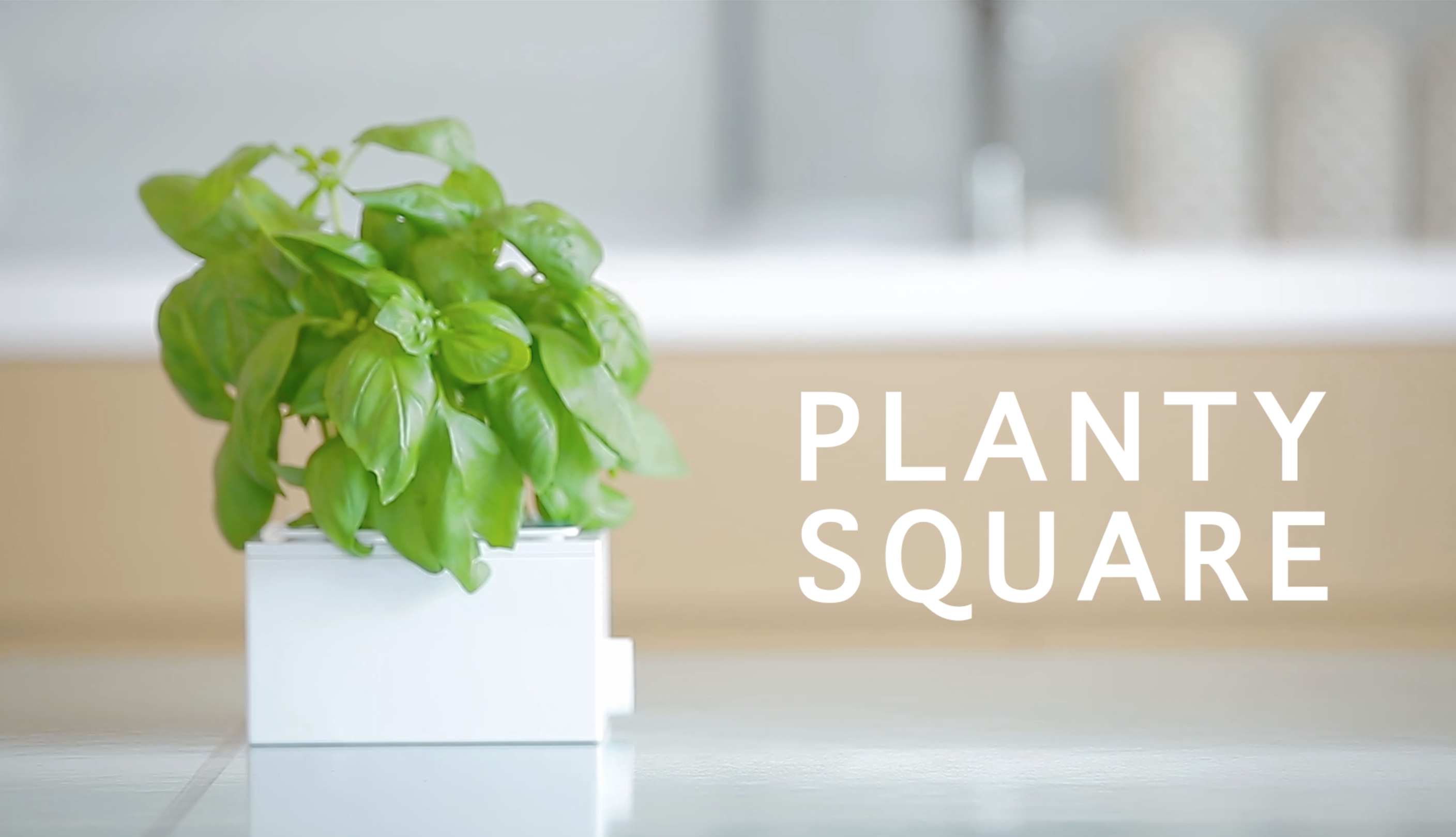 PLANTY SQUARE gallery image