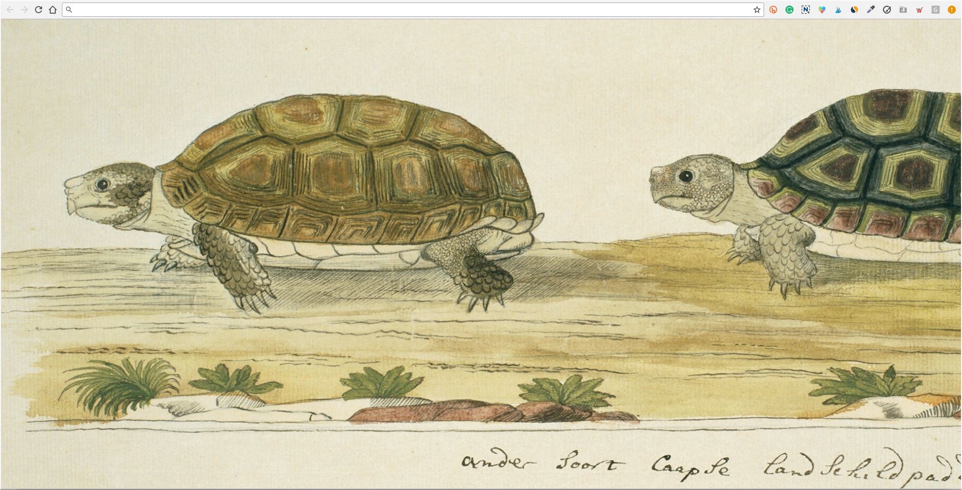 Art Up Your Tab - Chrome extension & Firefox add-on gallery image