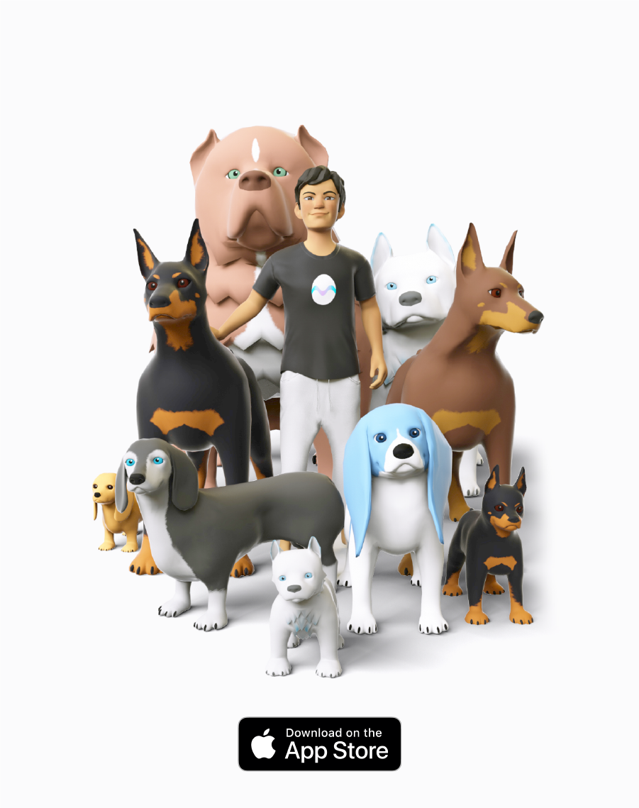 Lightdogs gallery image