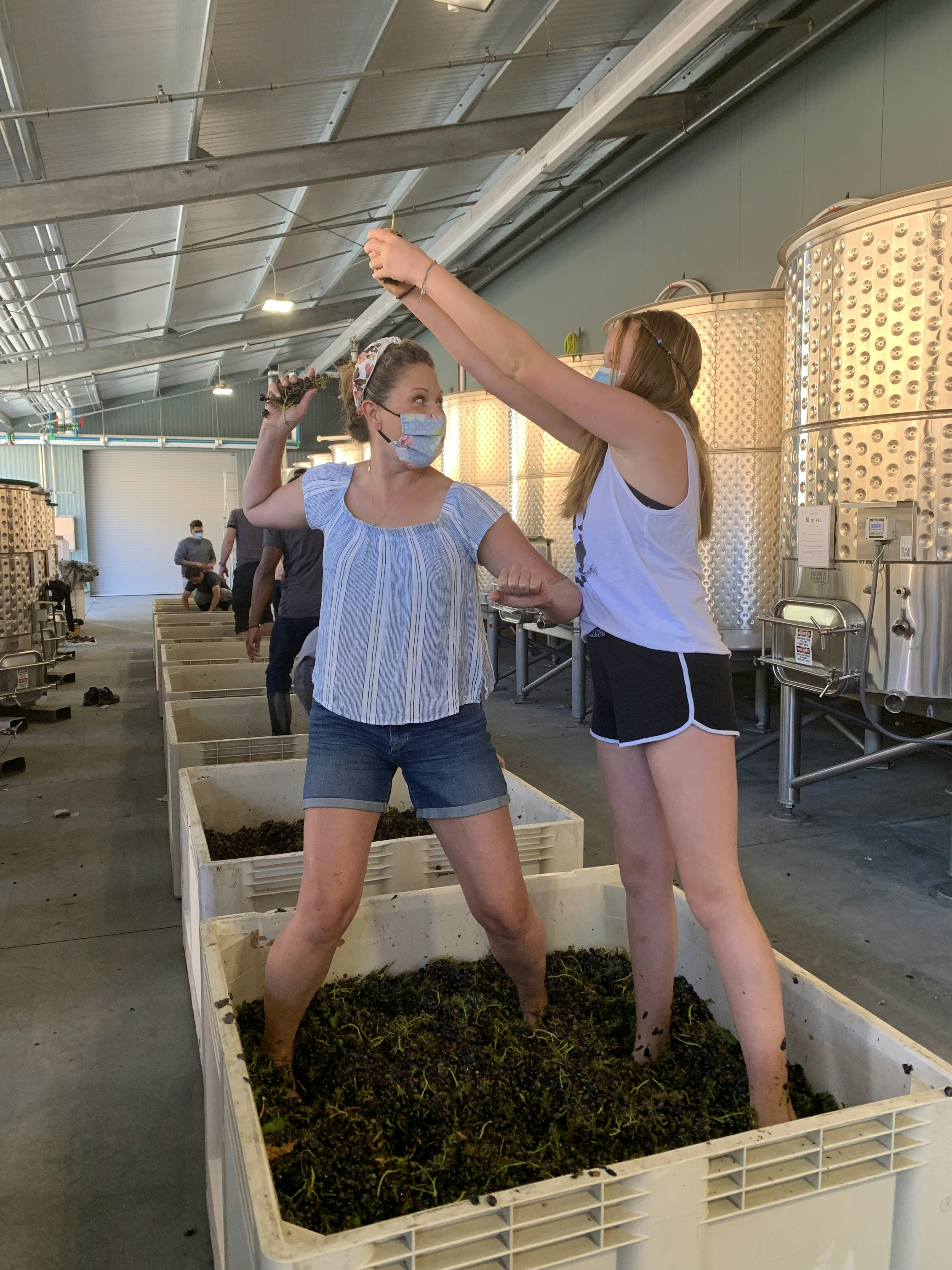 Groove Wines gallery image