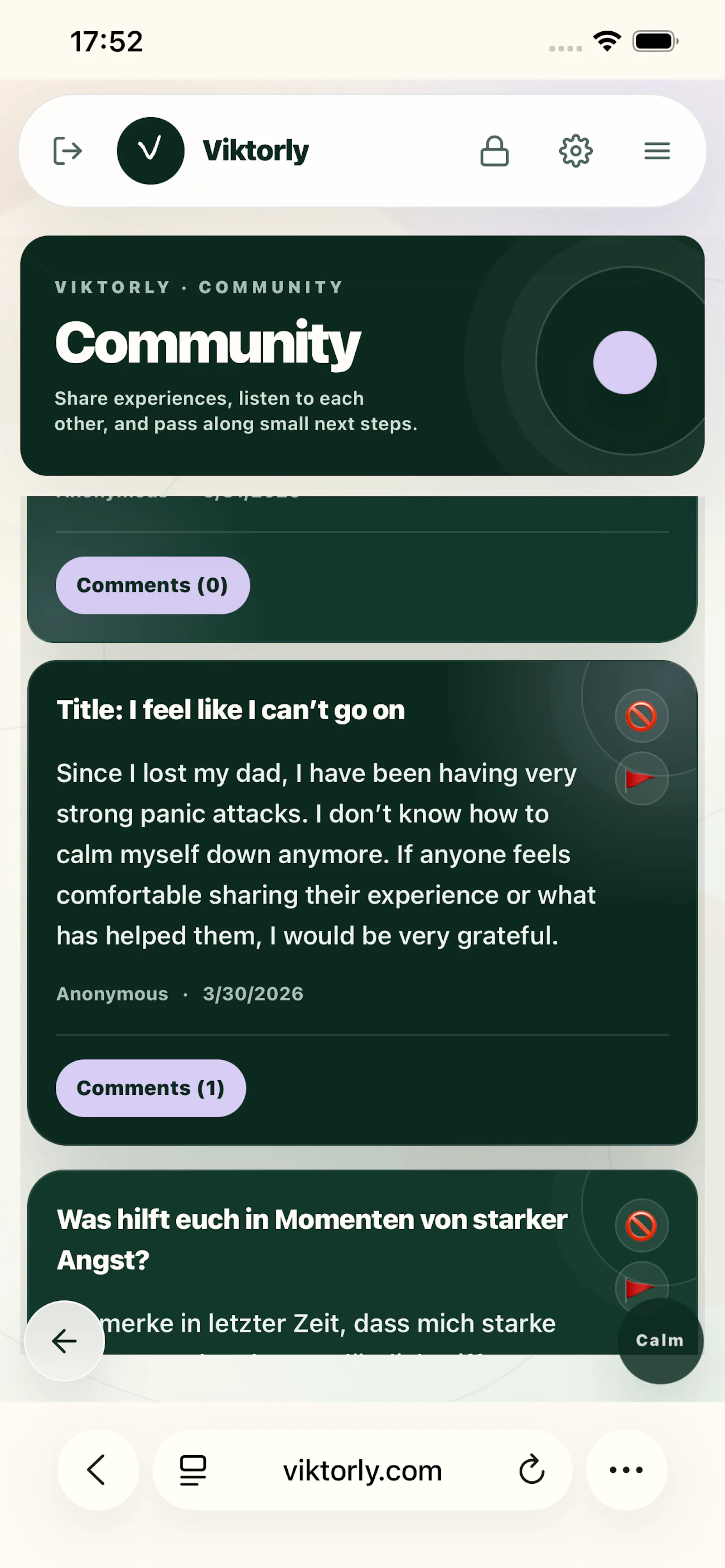 Viktorly screenshot 9
