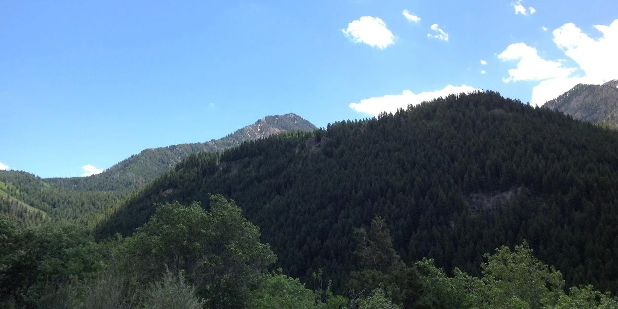 O' Joseph Fakayode cover