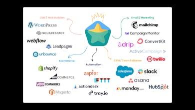 Endorsal gallery image