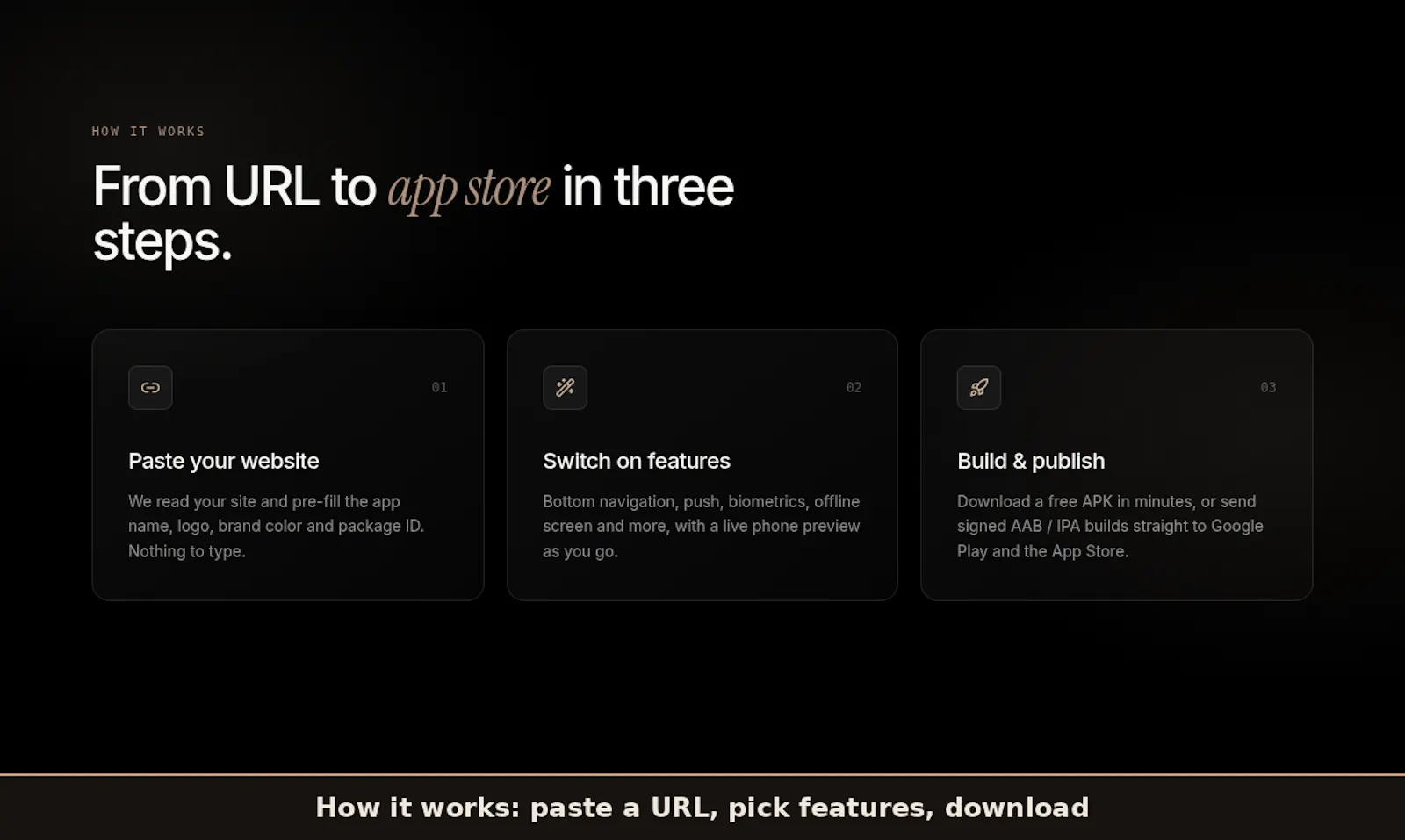 WebToApp screenshot 3