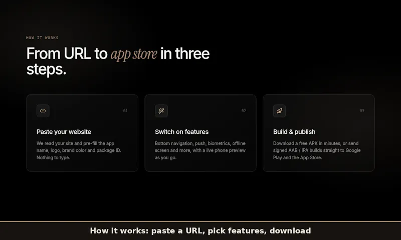 WebToApp screenshot 3