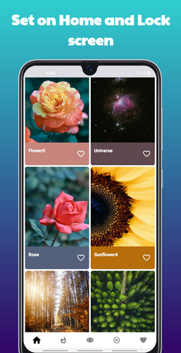 QUIZINATOR HD WALLPAPERS gallery image