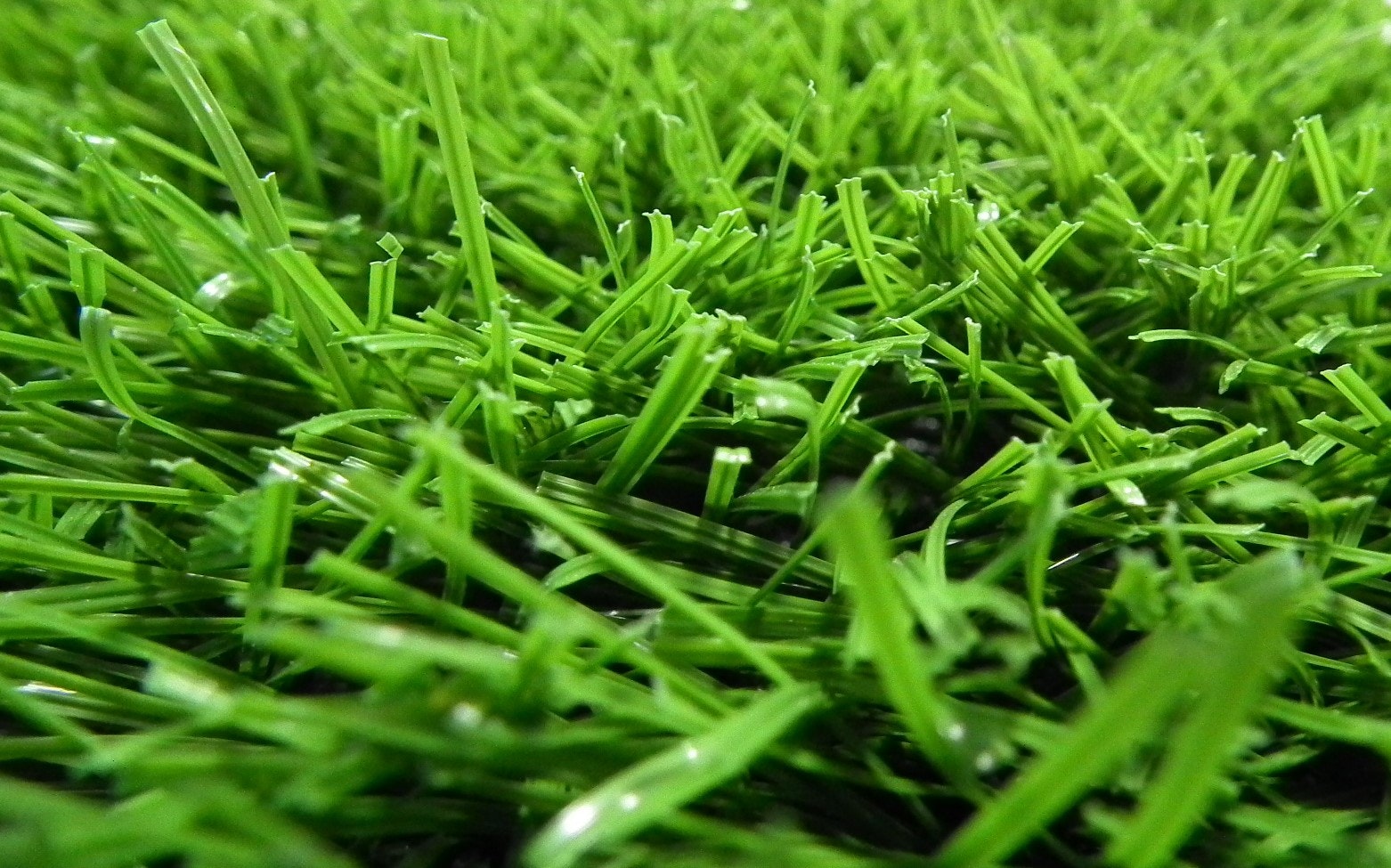 GREEND gallery image