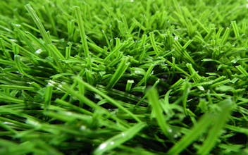 GREEND gallery image