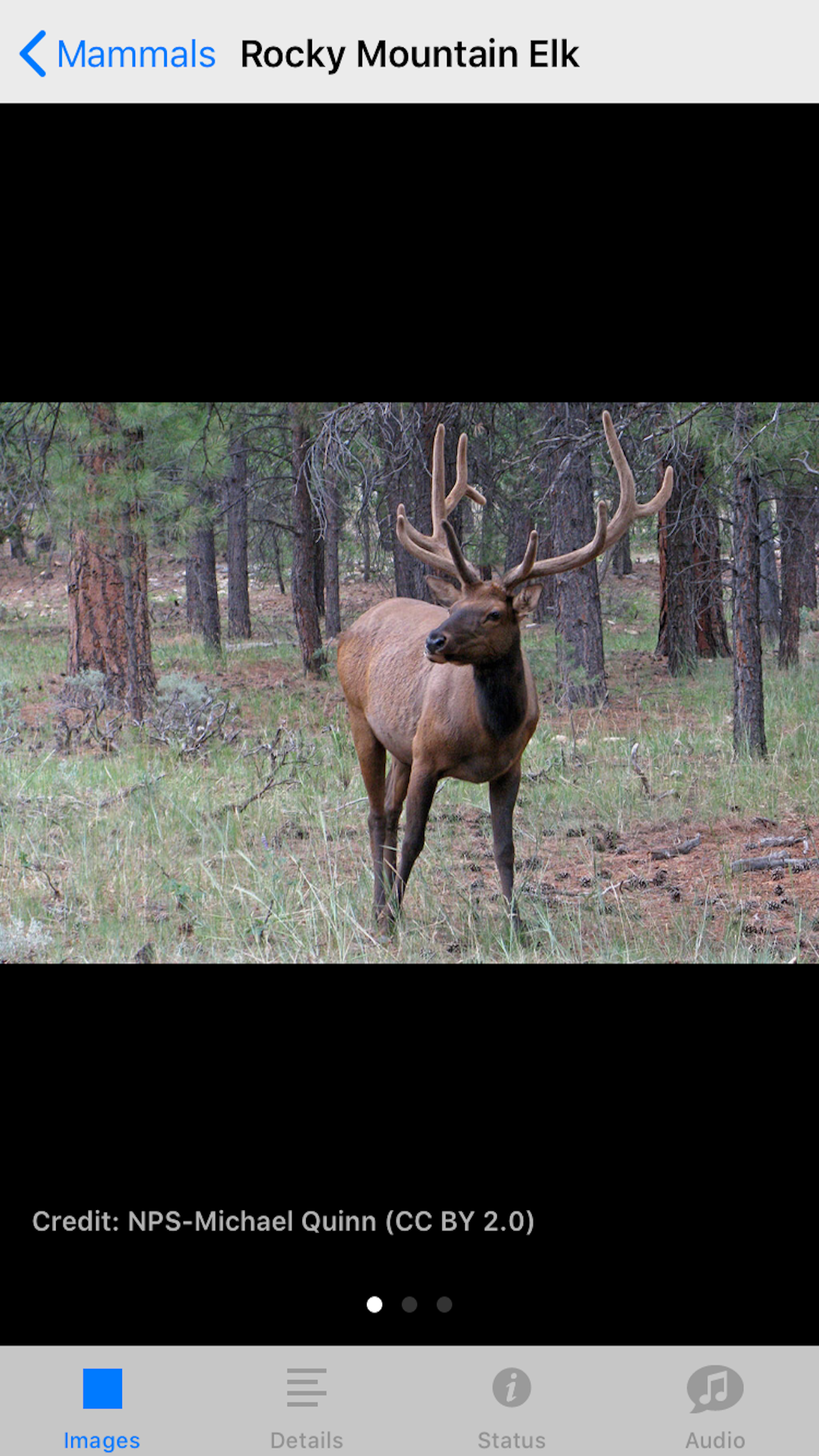 Grand Canyon NP Field Guide gallery image