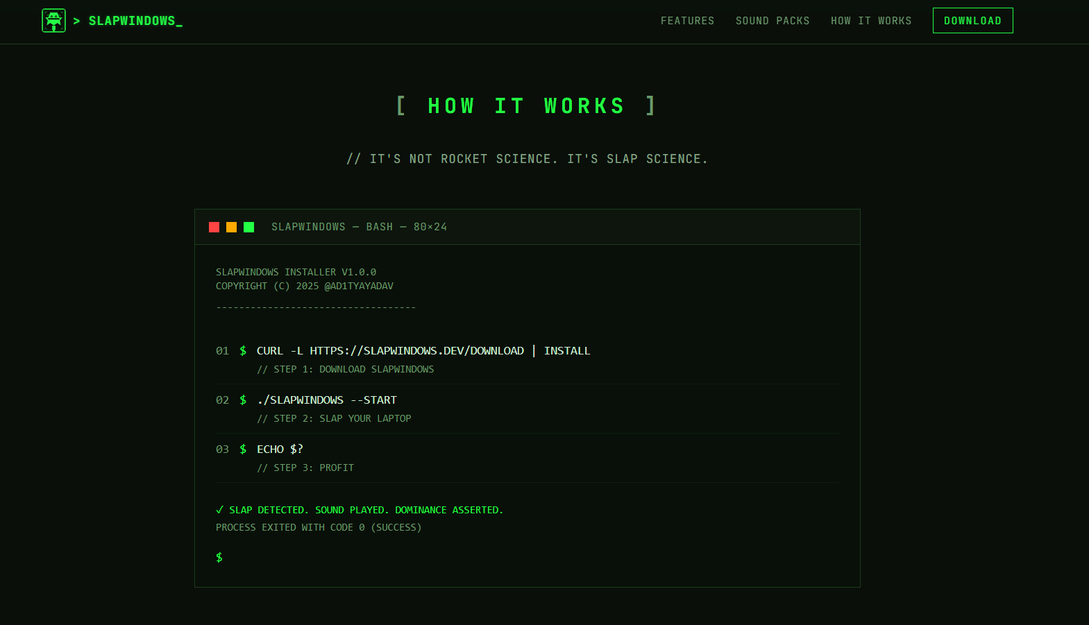 SlapWindows gallery image