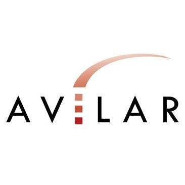 The Avilar Blog gallery image