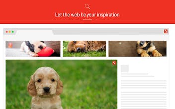 Shutterstock Reveal gallery image